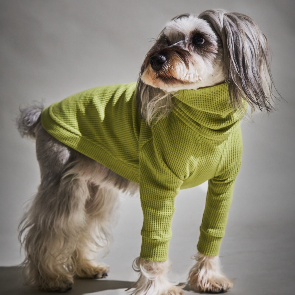 Waffle Turtleneck Shirts - II -Pistachio