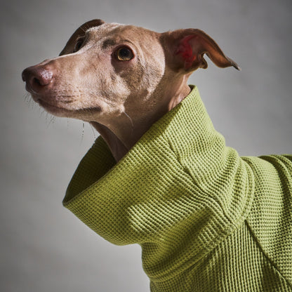 Waffle Turtleneck Shirts - II -Pistachio