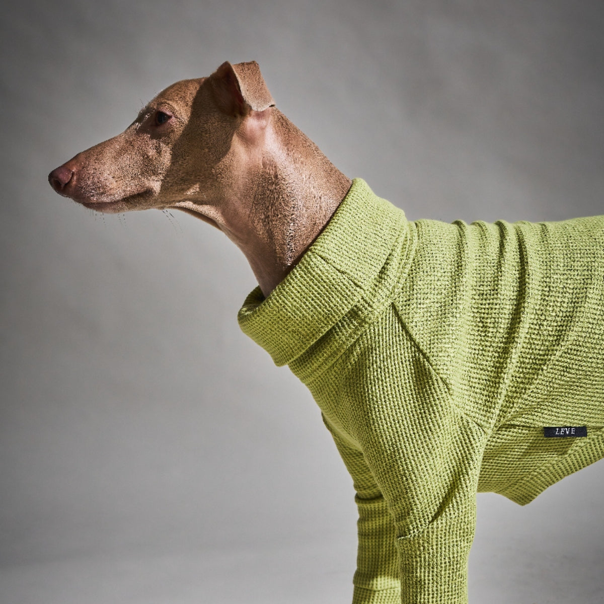 Waffle Turtleneck Shirts - II -Pistachio