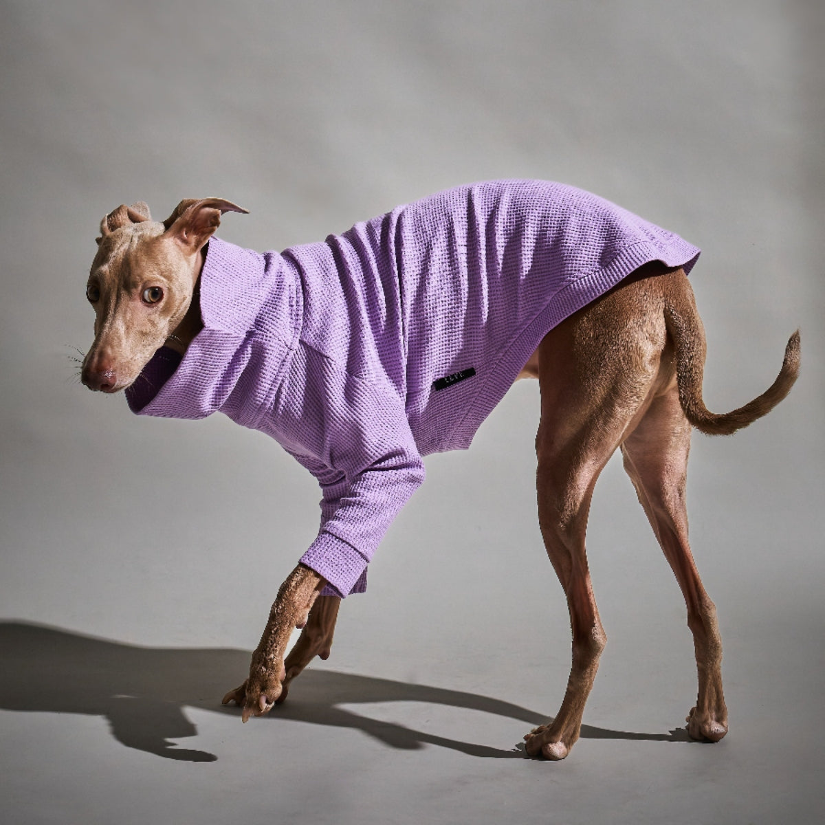Waffle Turtleneck Shirts - II -Lavender