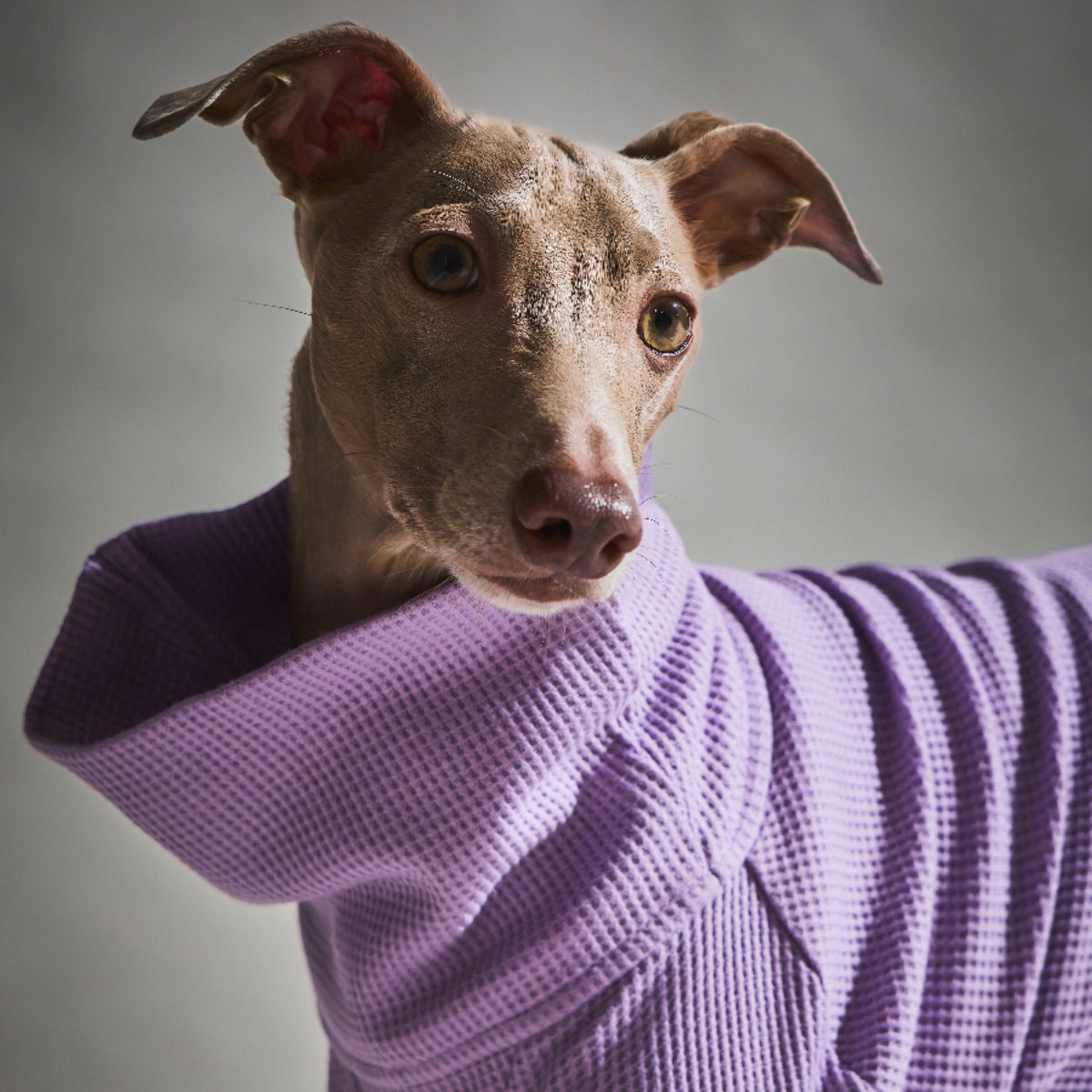 Waffle Turtleneck Shirts - II -Lavender