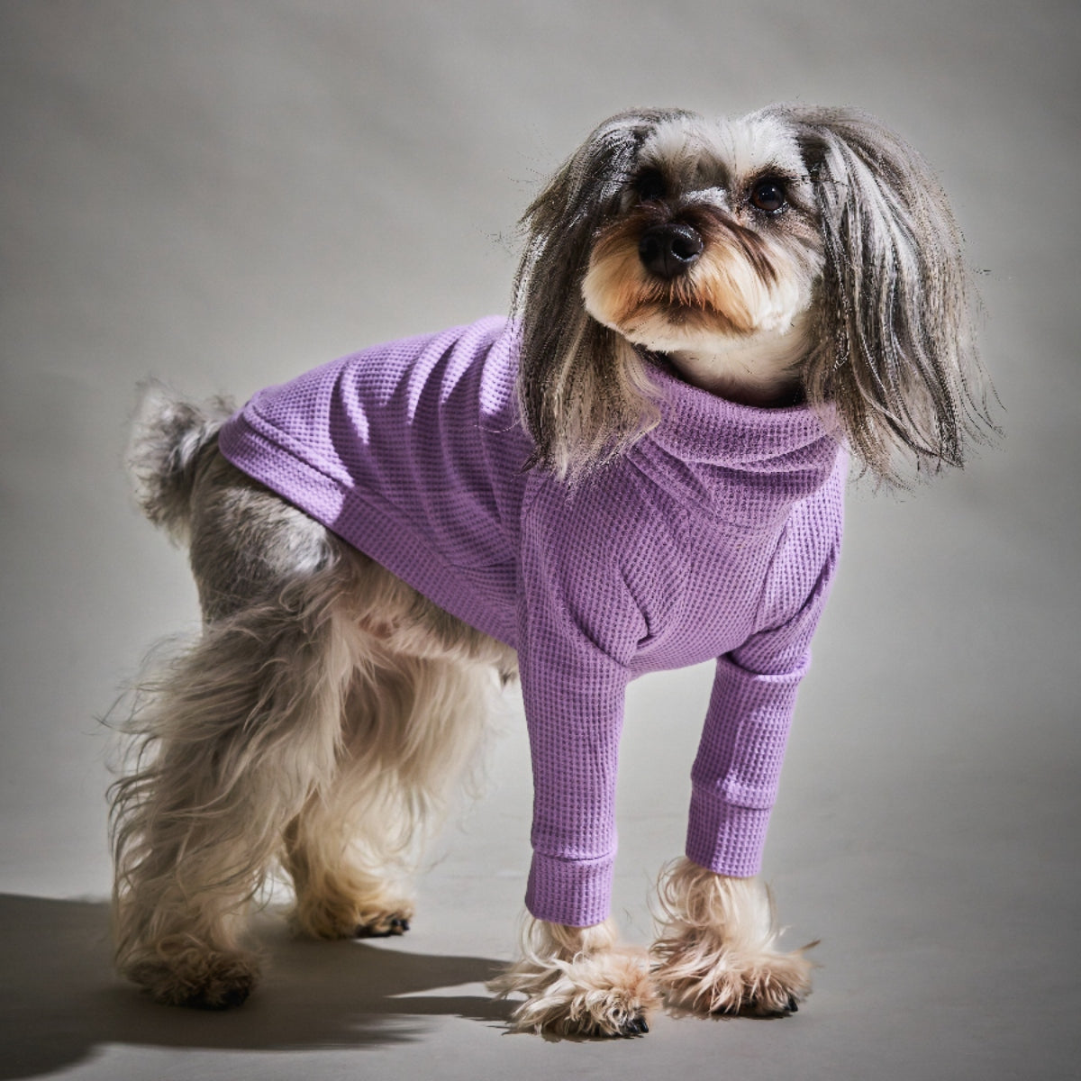 Waffle Turtleneck Shirts - II -Lavender