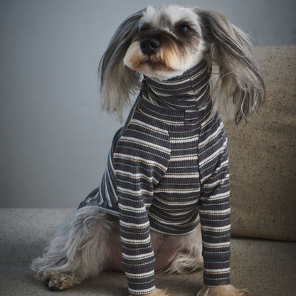 Multi Border Turtleneck Shirts -Charcoal Gray