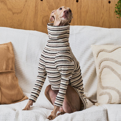 Multi Border Turtleneck Shirts -Oatmeal