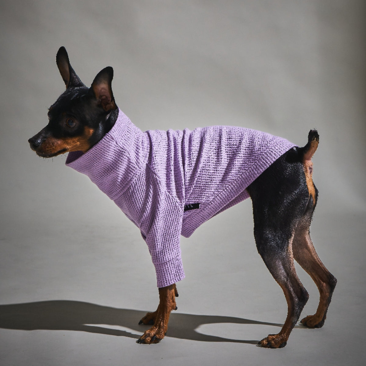 Waffle Turtleneck Shirts - II -Lavender