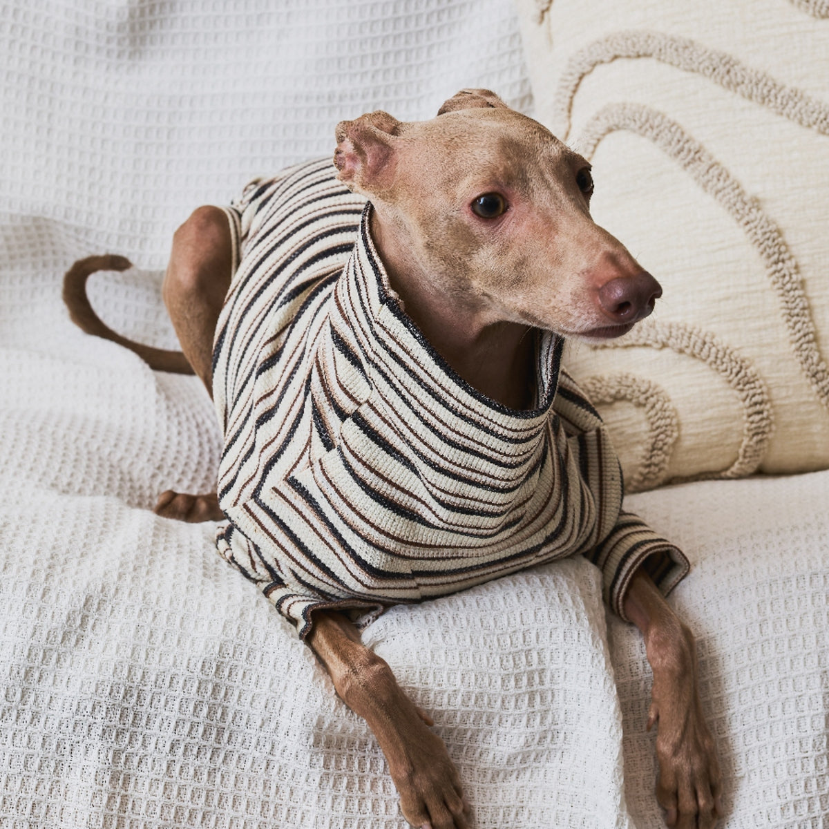 Multi Border Turtleneck Shirts -Oatmeal
