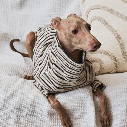 Multi Border Turtleneck Shirts -Oatmeal