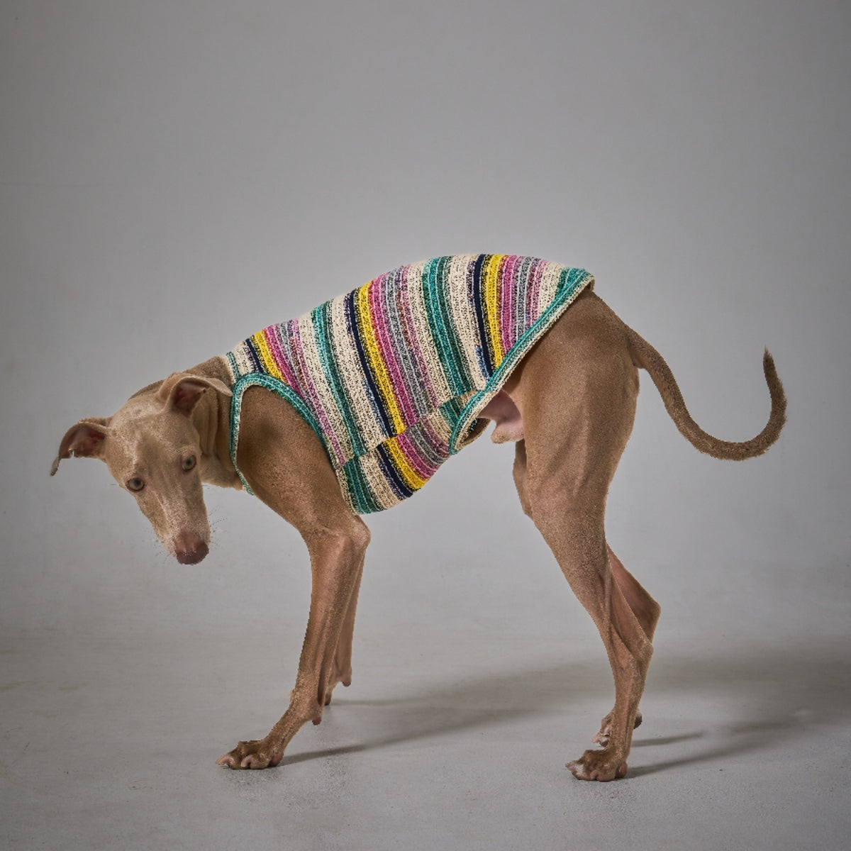 Border Knit Camisole
