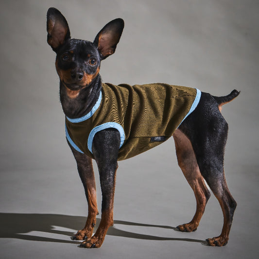 Rib Bi-color Vest -Brown