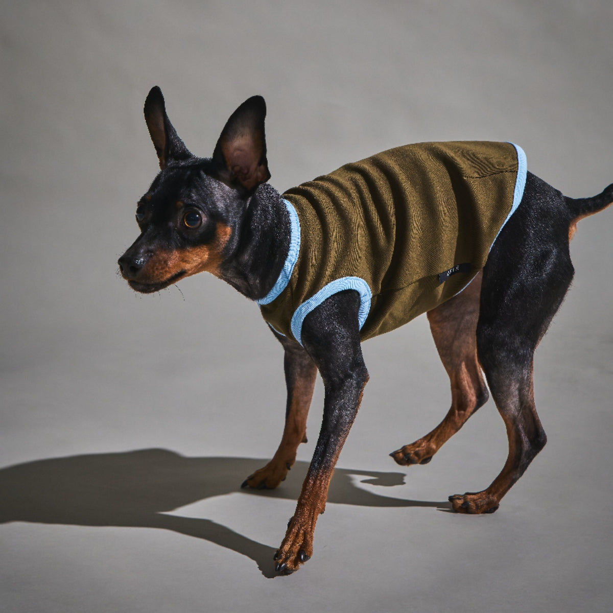 Rib Bi-color Vest -Brown