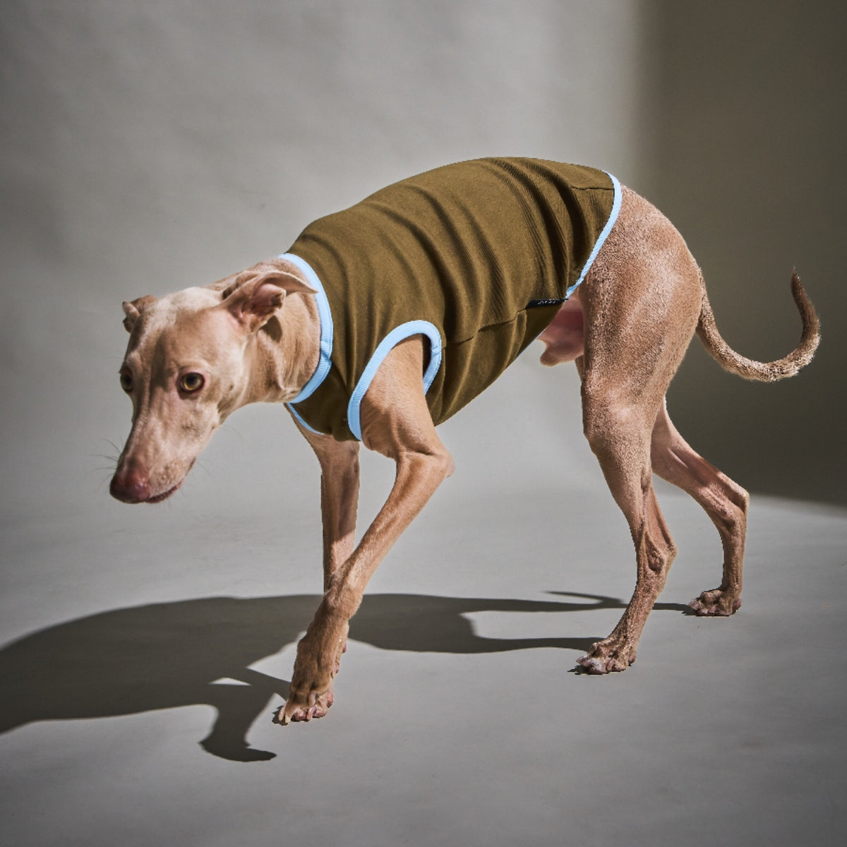 Rib Bi-color Vest -Brown
