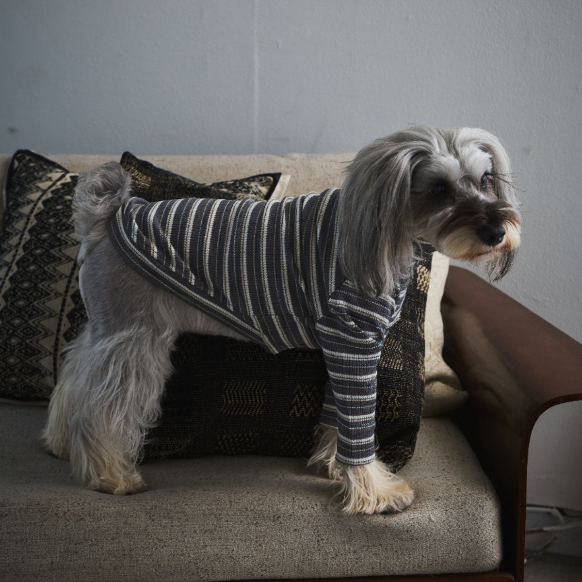 Multi Border Turtleneck Shirts -Charcoal Gray