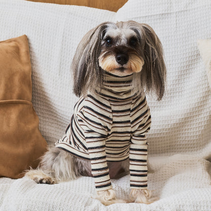 Multi Border Turtleneck Shirts -Oatmeal