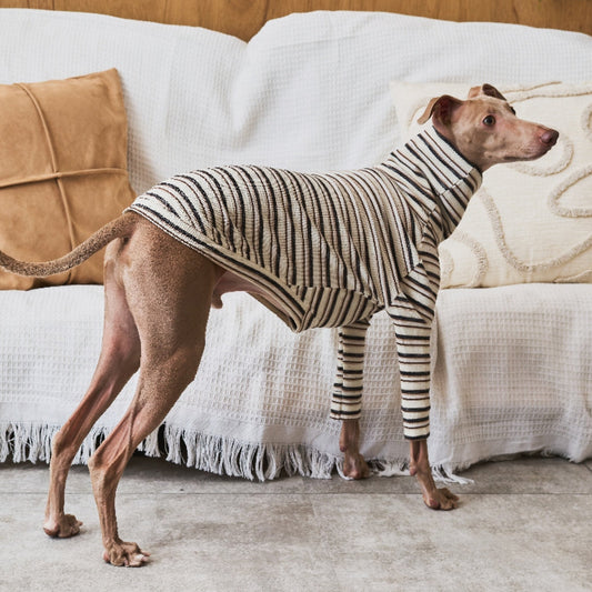 Multi Border Turtleneck Shirts -Oatmeal