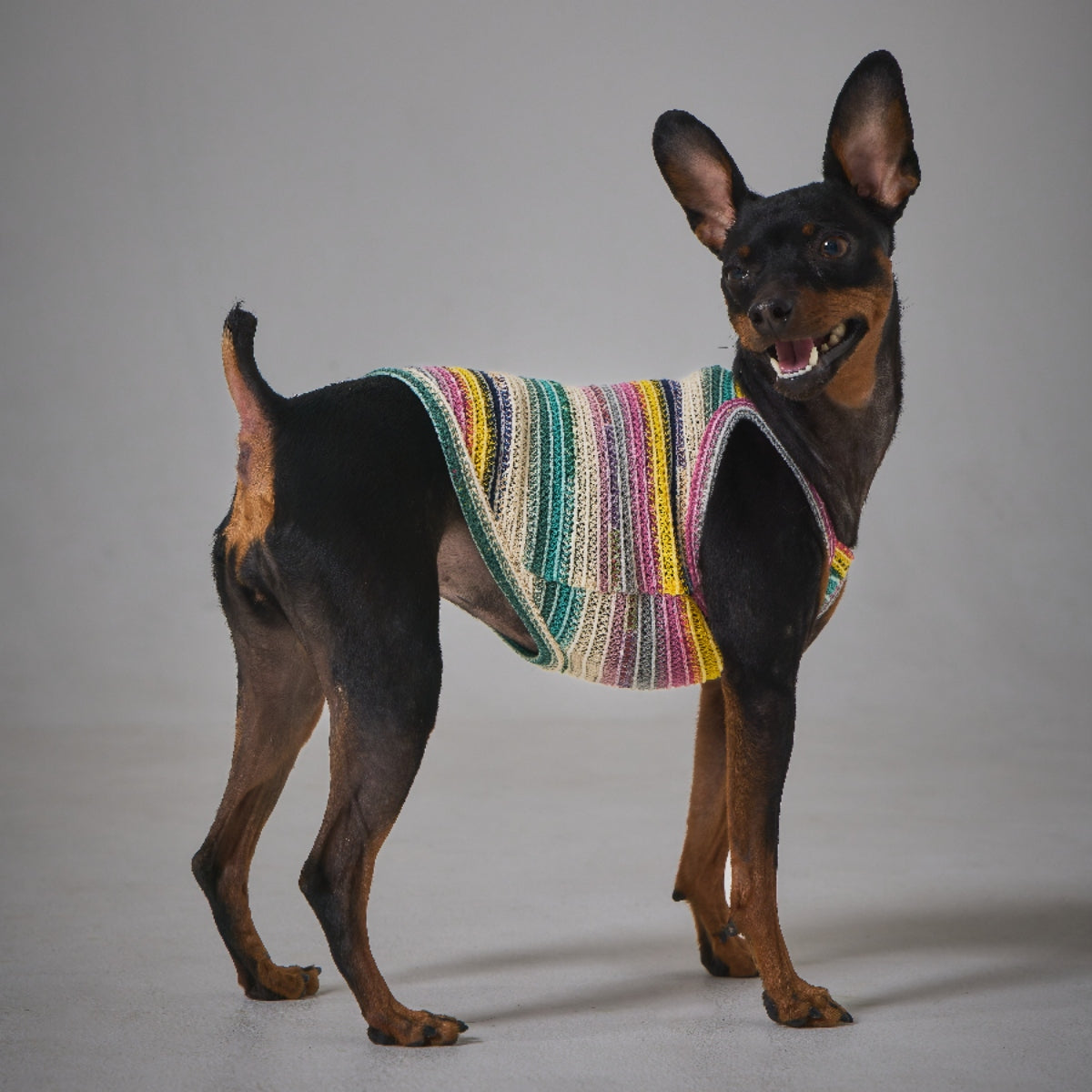 Border Knit Camisole