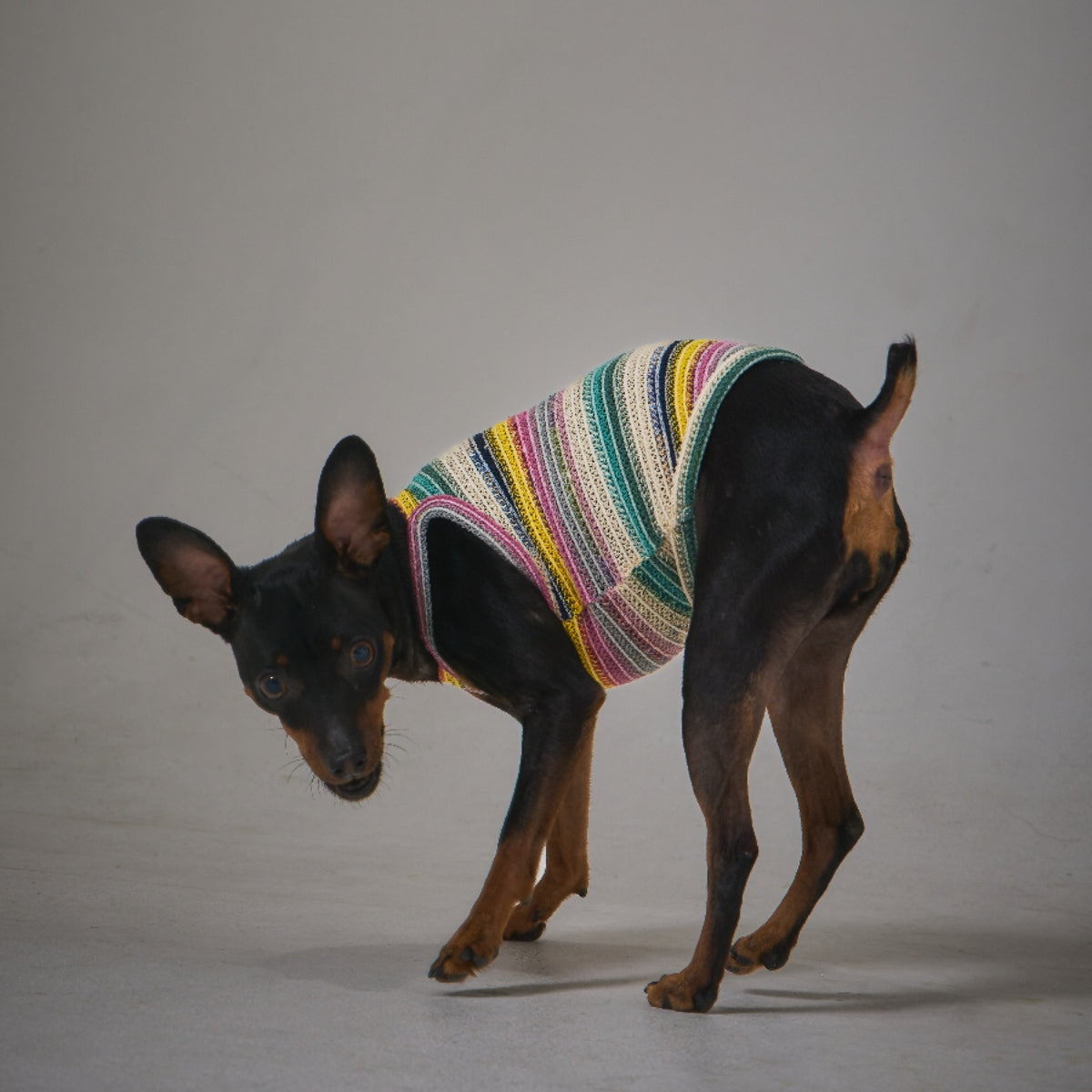 Border Knit Camisole