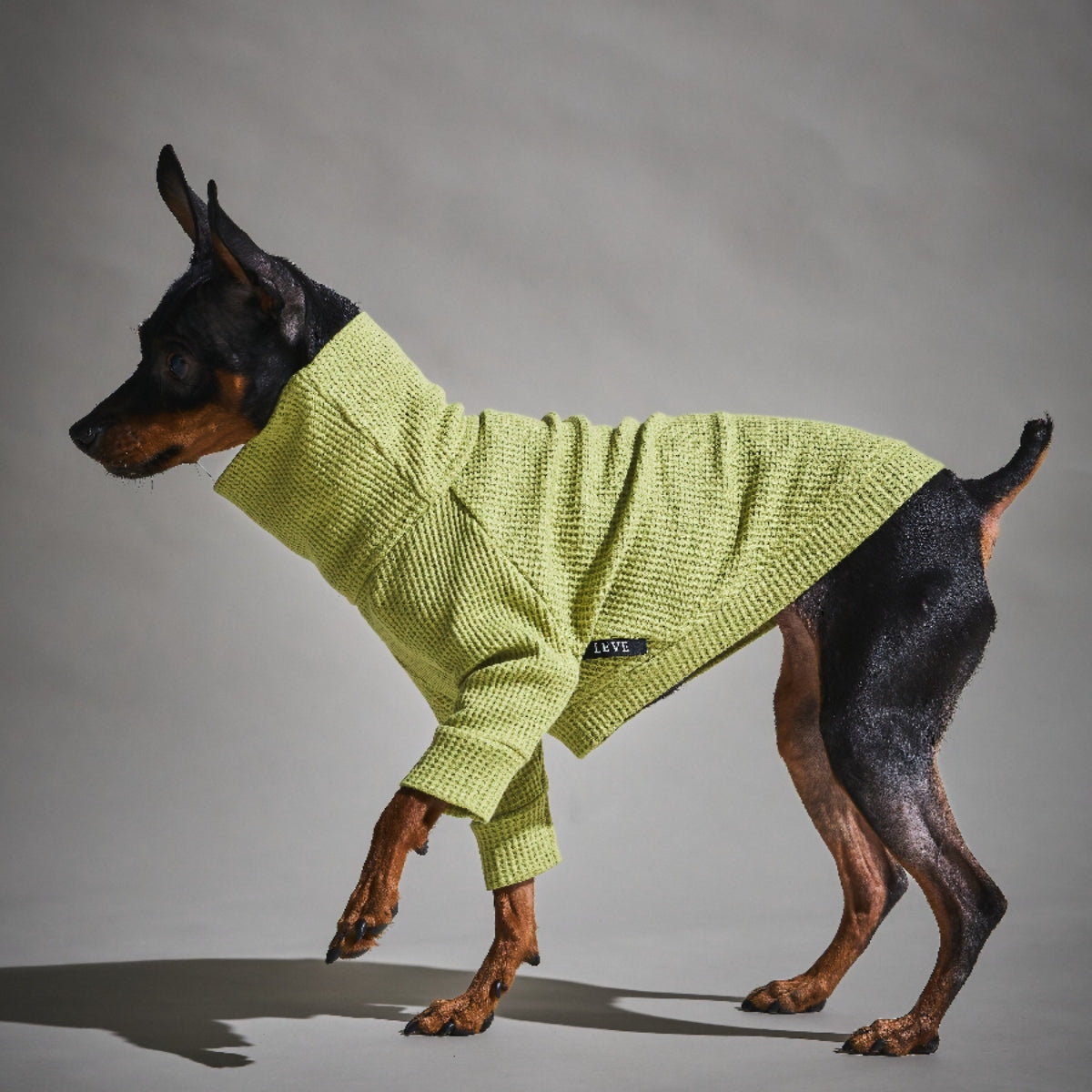 Waffle Turtleneck Shirts - II -Pistachio