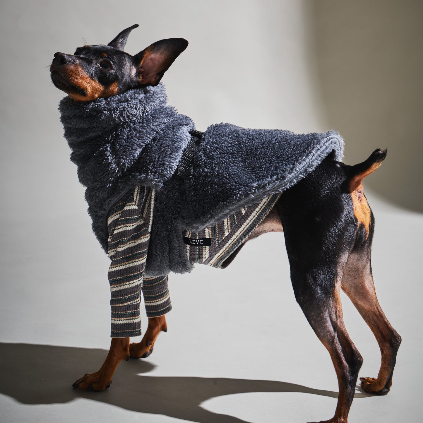 Multi Border Turtleneck Shirts -Charcoal Gray